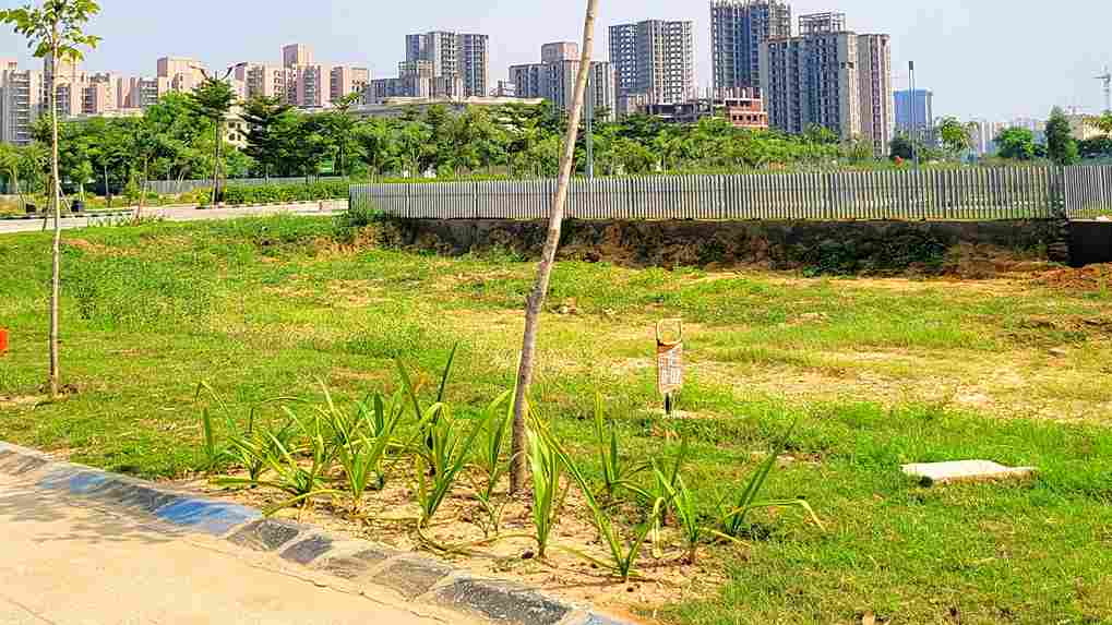 WOOD VIEW RESIDENCES / Sector 89