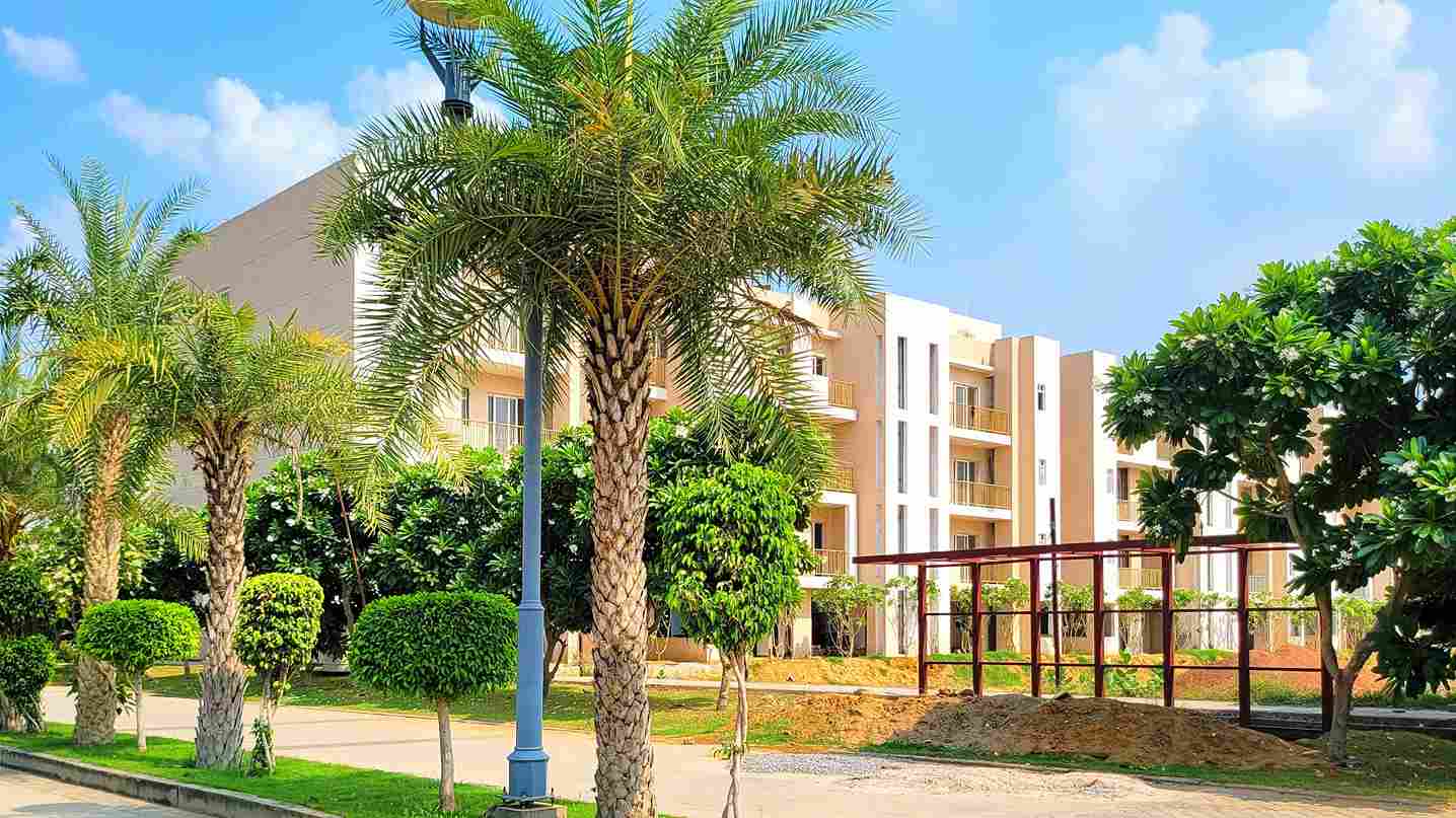 ACE PALM FLOORS / 2BHK / 3BHK / Sector 89