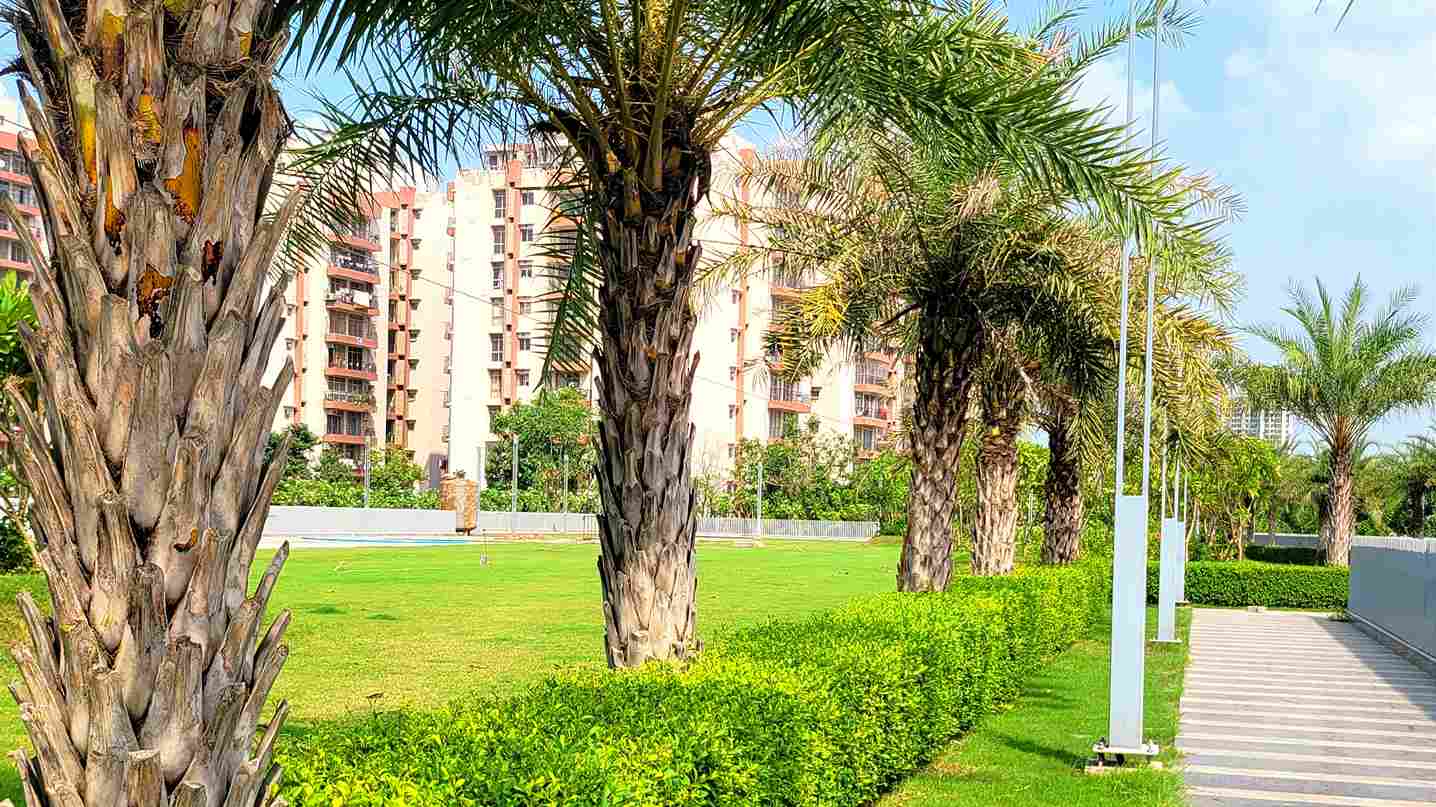 ACE PALM FLOORS / 2BHK / 3BHK / Sector 89